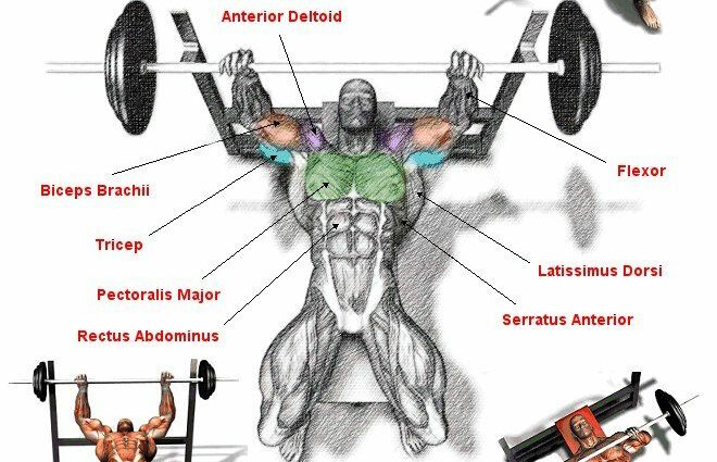 Exercises for the muscles of the press