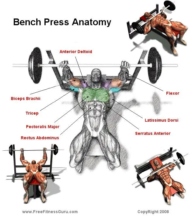 Exercises for the muscles of the press