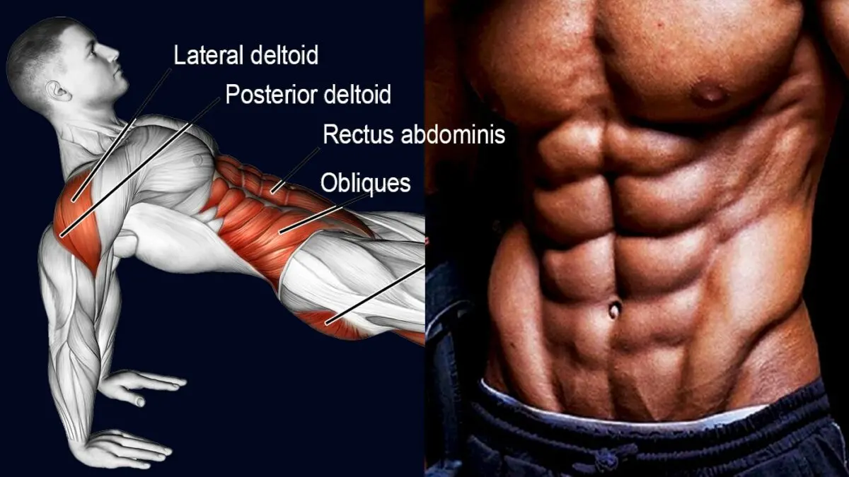 Exercises to mark the oblique abs