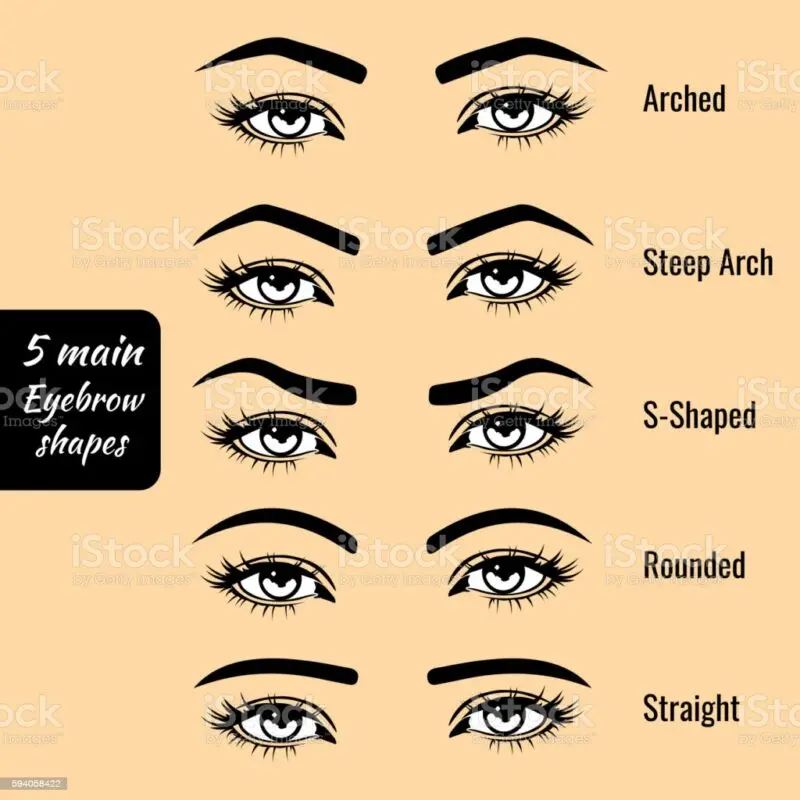 Eyebrow shape