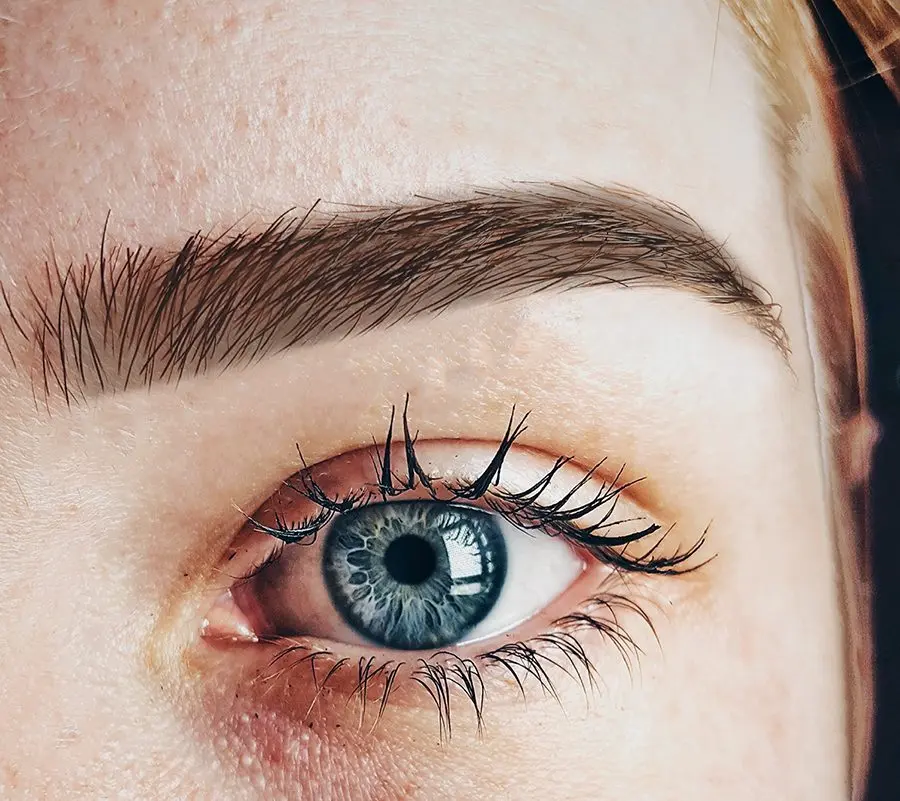 Eyebrow tinting with henna, paint, photo, reviews