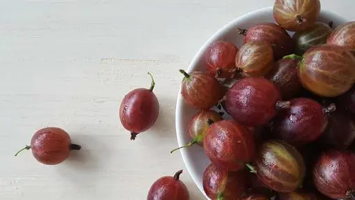 Fancy berries, why should you eat red berries?