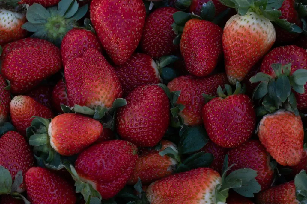 Fancy berries, why should you eat red berries?