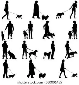 Fashion pictures: silhouettes of people and animals