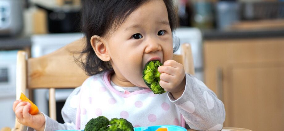 Feeding the 12 month old baby: what does a 1 year old baby eat?