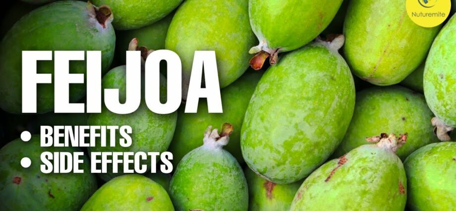 Feijoa: beneficial properties of the fruit. Video