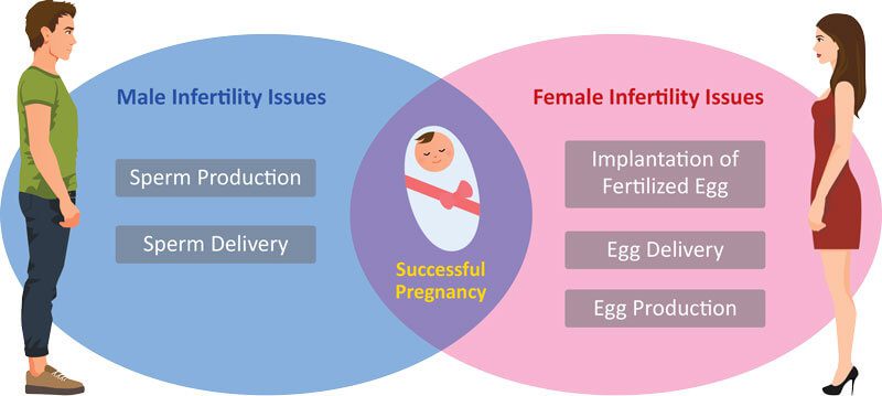 Prueba de fertilidad en hombres y mujeres