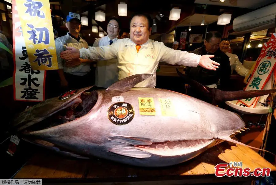 First Red Tuna of the Year auctioned