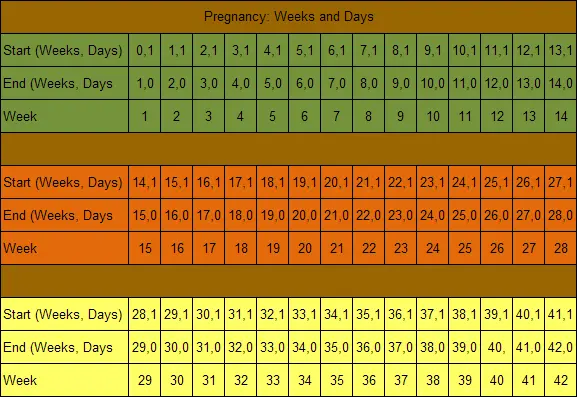 First trimester of pregnancy, how long does it take: days, weeks, months