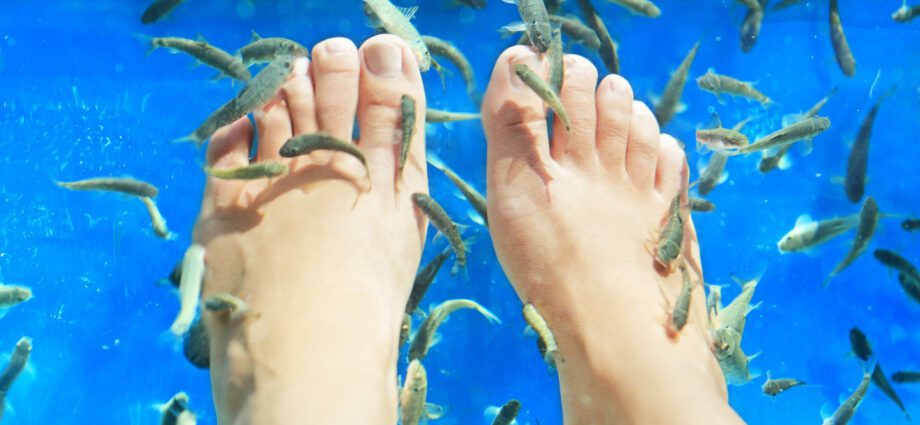 Fish pedicure: what is it?