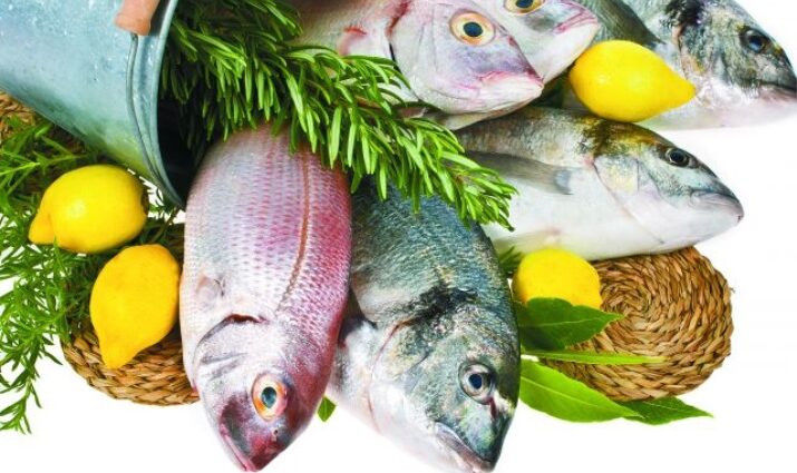 Fish: useful properties and calorie content of fish. Video