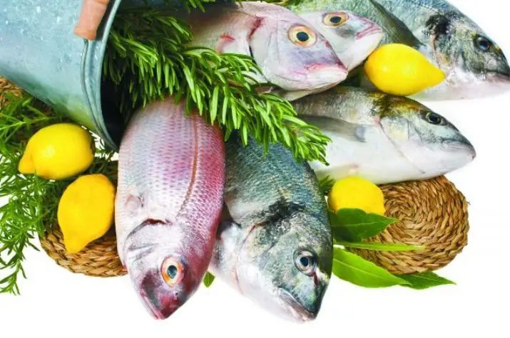 Fish: useful properties and calorie content of fish. Video