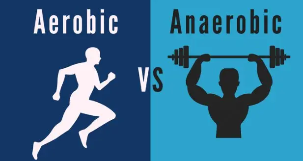 Fitness Anaerobic Exercises