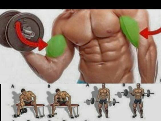 Biceps za fitnes i vježbe