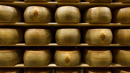 Five gourmet tributes to celebrate Cheese Day