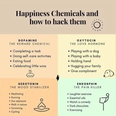 Five hormones of happiness: how to live and be friends with them