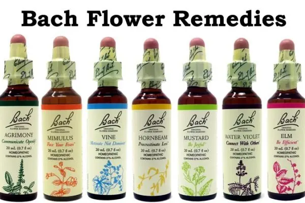 Flower essences and Bach flowers