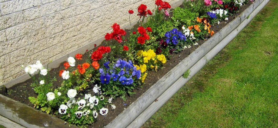 Flower garden in front of the house