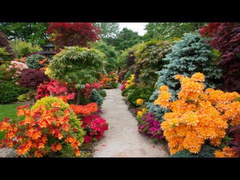 Taman bunga di negara ini: bagaimana cara menghias dengan indah? Video
