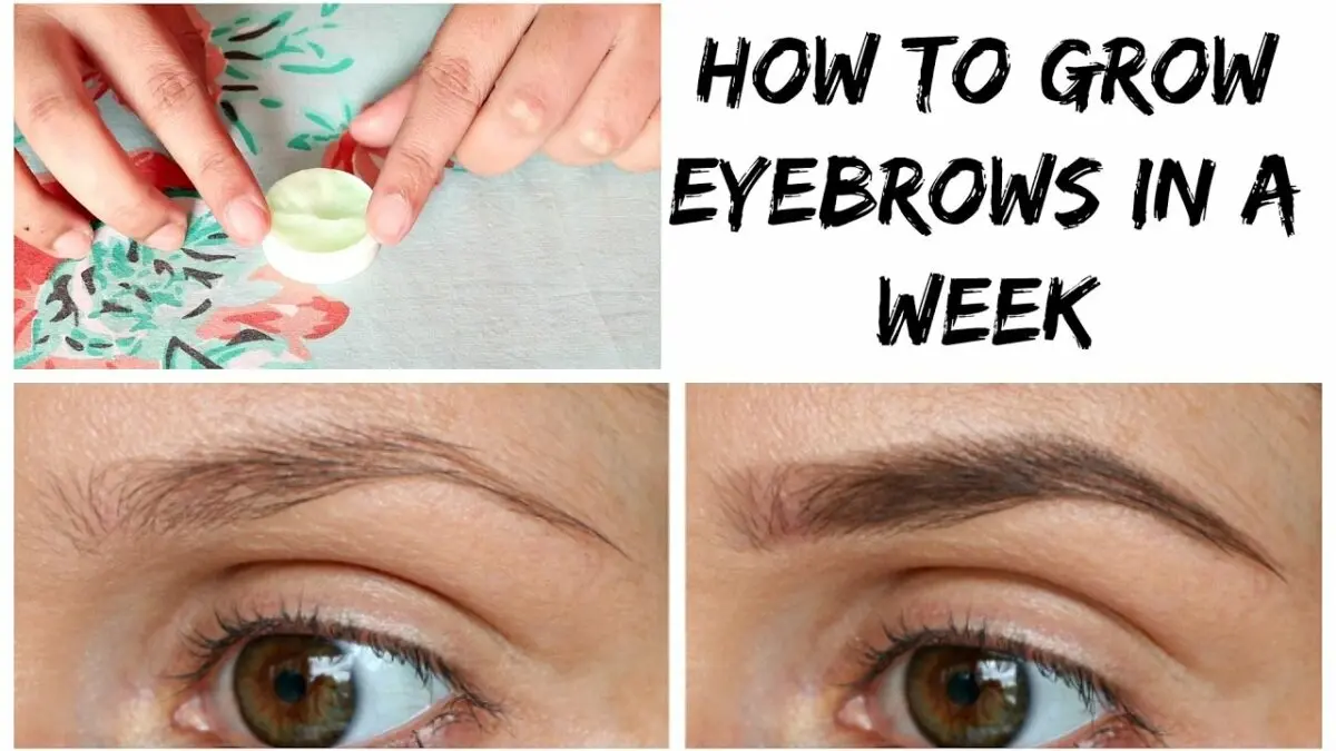 Folk remedies for eyebrow growth. Video