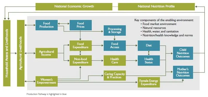 Food diversification: all stages