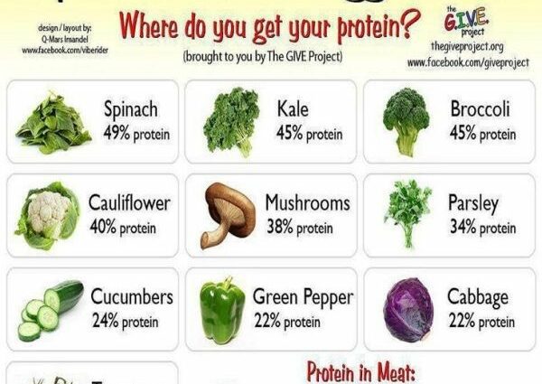 Foods with more protein than meat