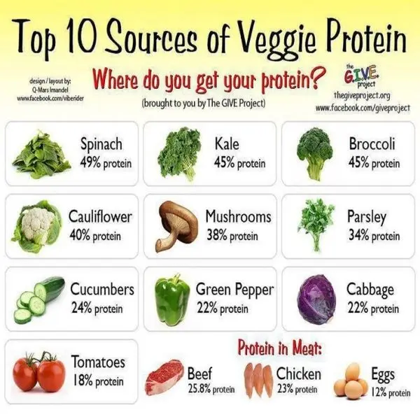 Foods with more protein than meat