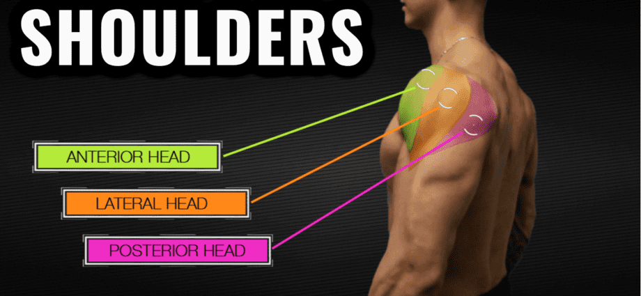 Four exercises for shoulders with which you will feel stronger