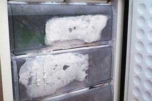 Freezing and defrosting, what you need to know!