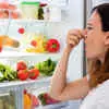 Fridge Freezer Smell: How to Get Rid of