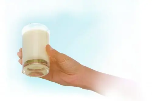 From meadow to kitchen: how does milk get on our table?