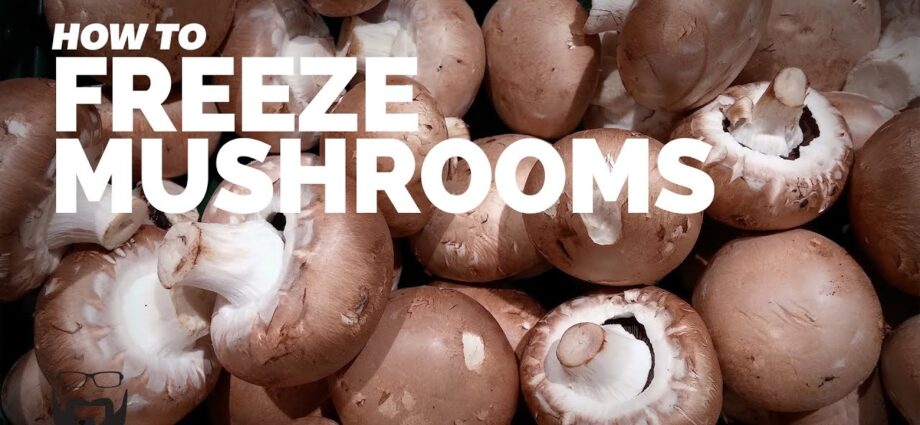 Frozen champignons: recipes for mushroom dishes. Video