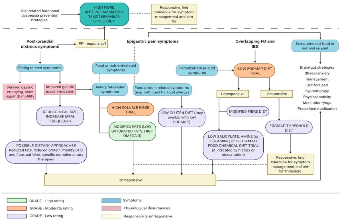 Prevention of dyspepsia (Functional digestive disorders)