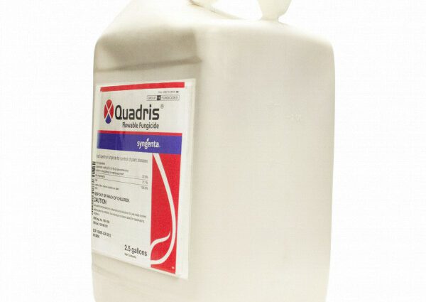 Fungicide Quadris: application