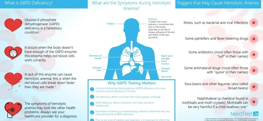 G6PD and favism: what are the risks in the event of a deficiency of this enzyme?