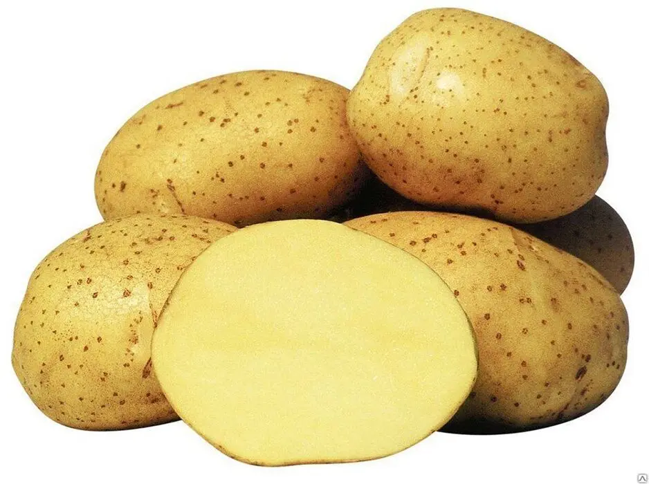 Gala potatoes: variety description, characteristics