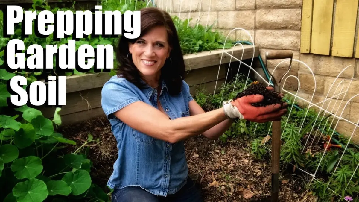 Garden care in spring: work in the garden and vegetable garden. Video