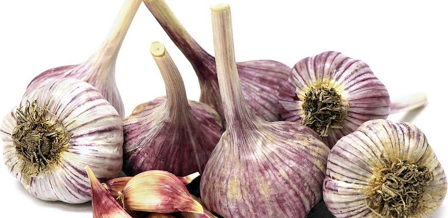 Garlic Bogatyr: variety description, photo