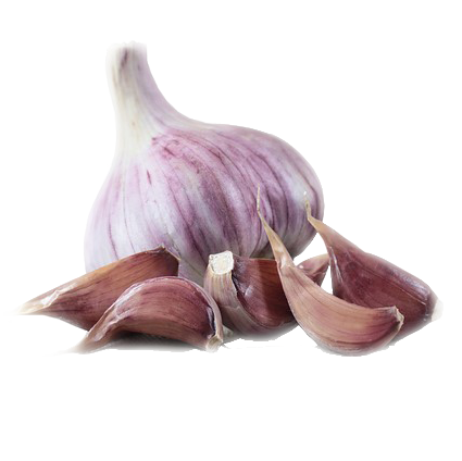 Garlic Lyubasha: variety description and photo