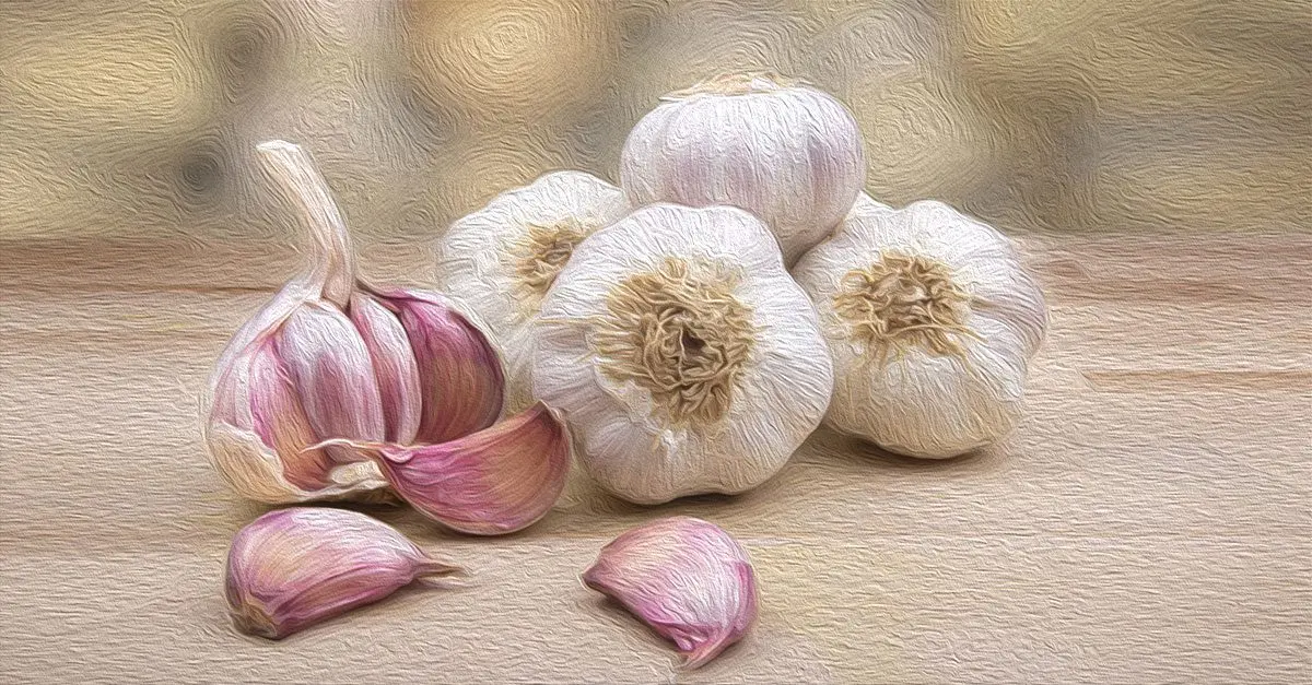 Garlic Won&#8217;t Lower Bad Cholesterol