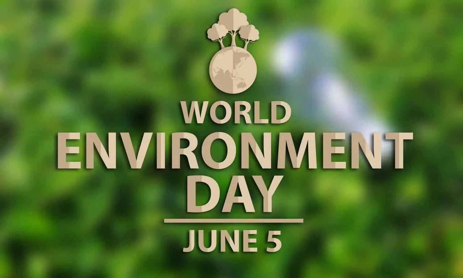 Gastronomy on world environment day