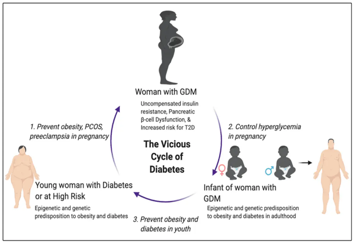 Gestational diabetes mellitus during pregnancy