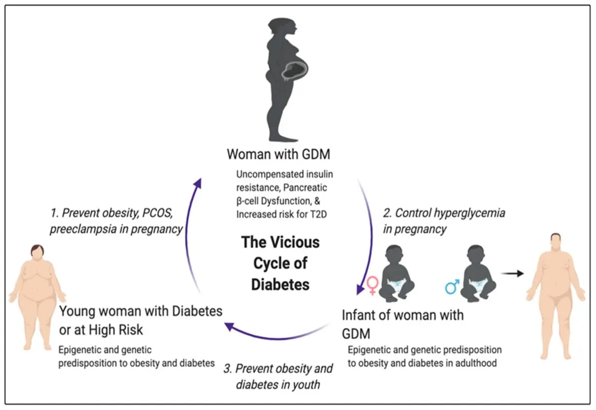 Gestational diabetes &#8211; Sites of interest