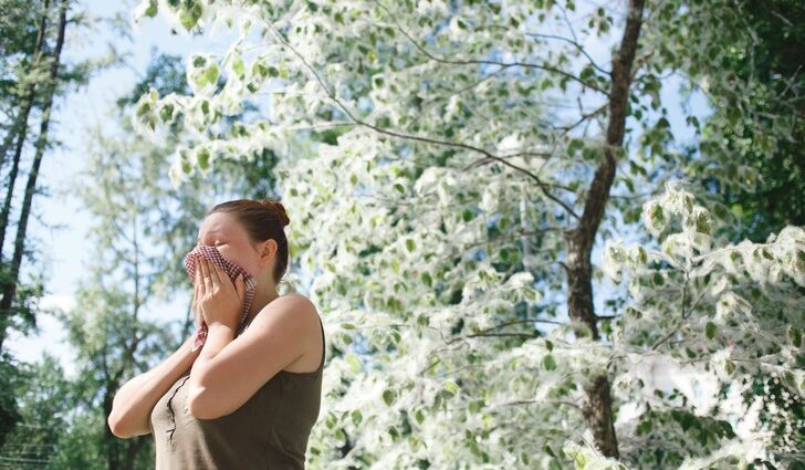 Hygiene and wardrobe change: how to deal with poplar fluff and coronavirus