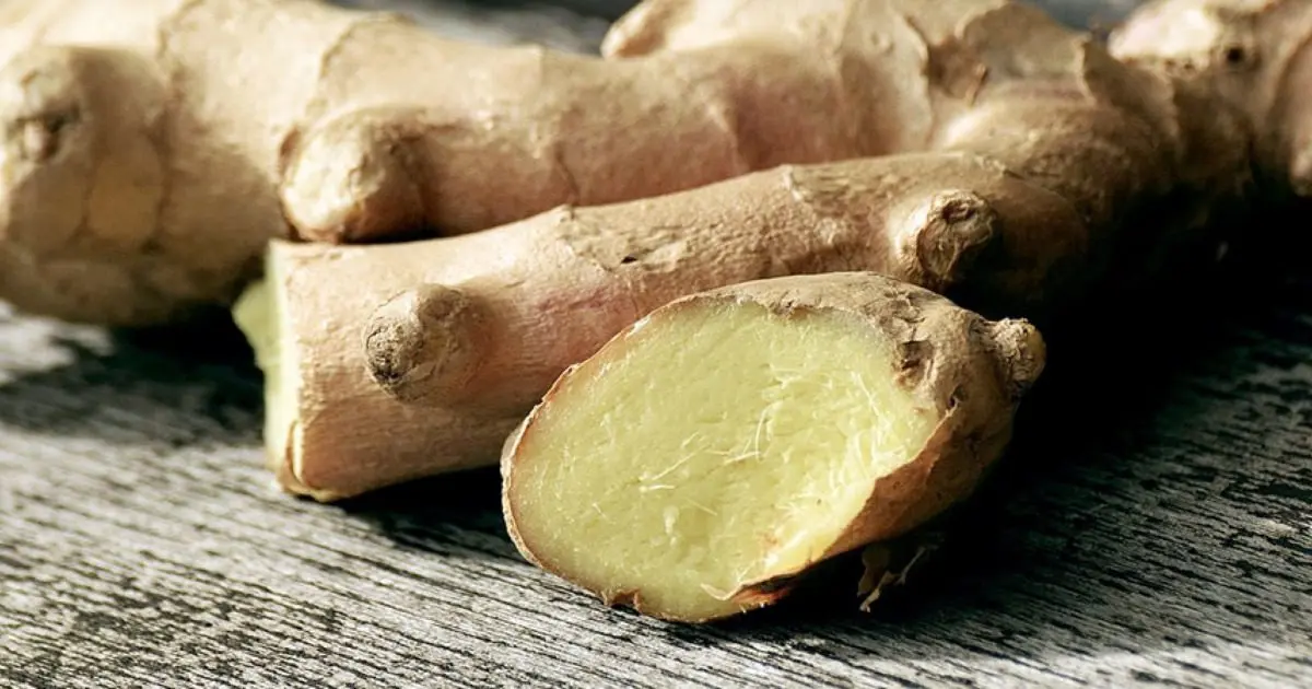 Ginger, an ally in relieving symptoms of osteoarthritis