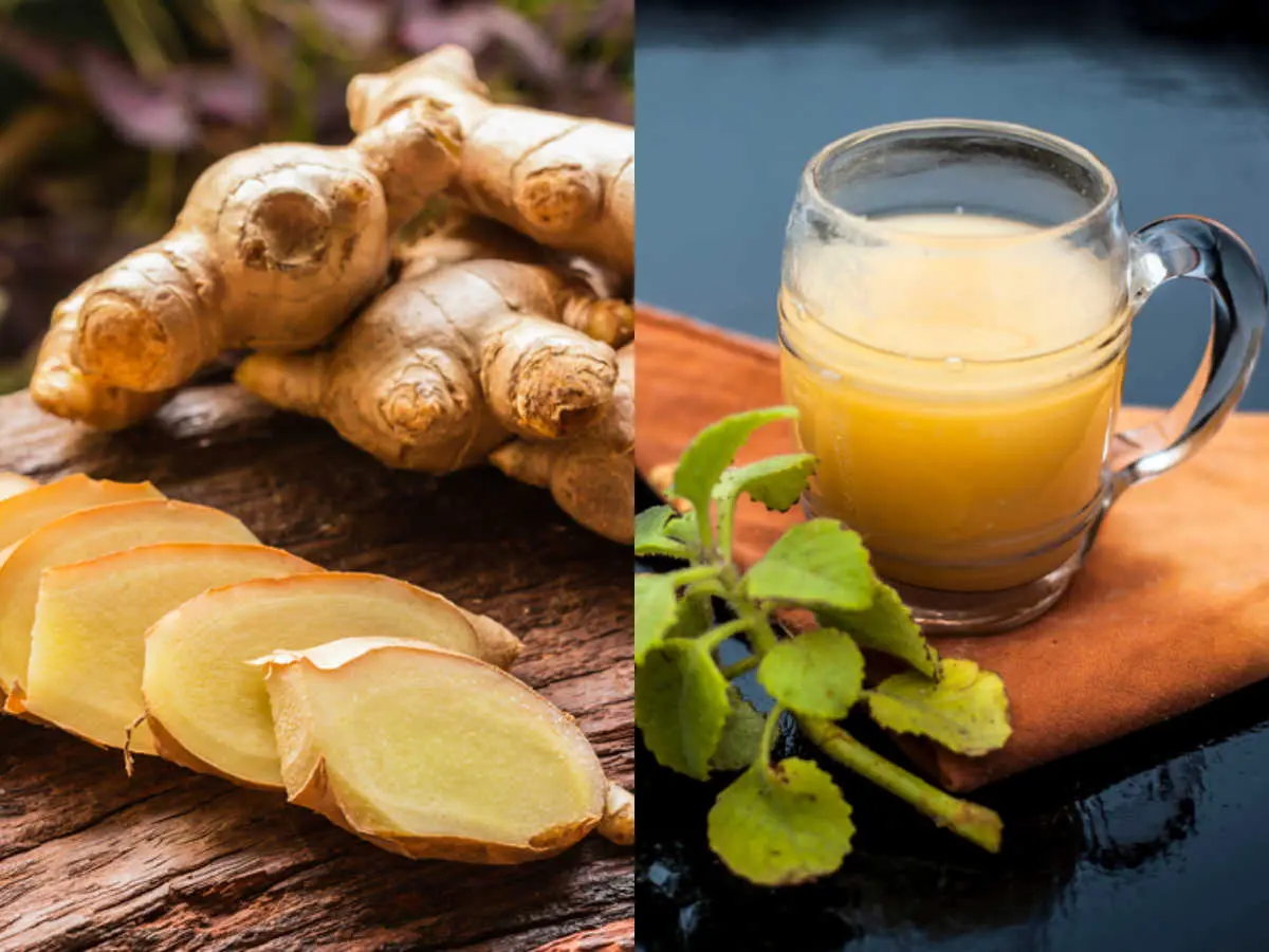 Ginger for weight loss: reviews, useful properties, recipes for tea with ginger. How to drink ginger to lose weight quickly