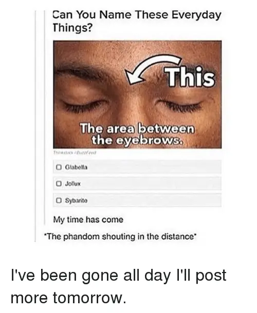 Glabella: zoom on this area between the eyebrows