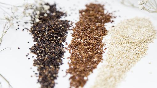 Gold grain: the power of gourmet seeds