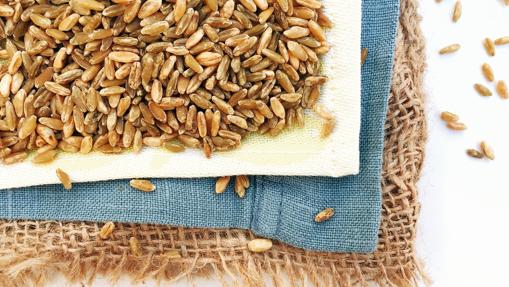 Gold grain: the power of gourmet seeds