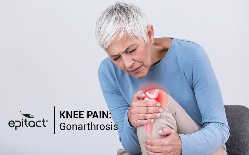 Gonalgie: having pain in the knee, where does it come from?